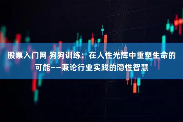 股票入门网 狗狗训练：在人性光辉中重塑生命的可能——兼论行业实践的隐性智慧
